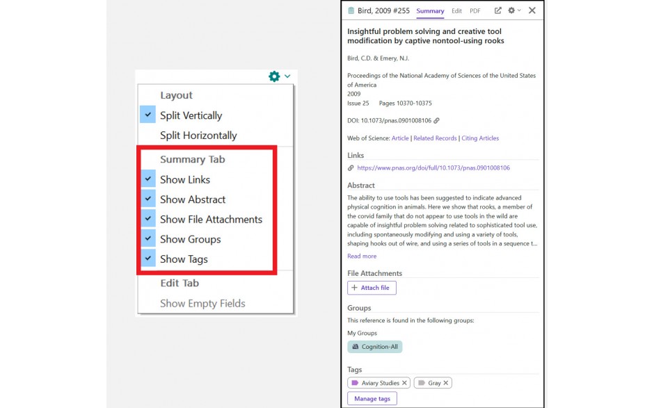 EndNote 2025 Summary panel
